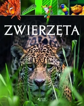 Zwierzęta - Michael Leach, Lland Meriel
