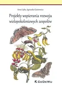 Projekty wspierania rozwoju wielopokoleniowych zespołów - Anna Lipka, Agnieszka Giszterowicz