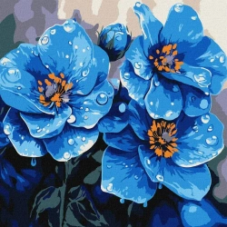 Malowanie po numerach - Fiołki co rano 30x30cm - Ideyka