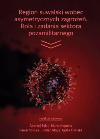 eBook Region suwalski wobec asymetrycznych zagrożeń. Rola i zadania sektora pozamilitarnego. Zarys problemu - Andrzej Sęk