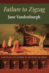 Failure To Zigzag - Jane Vandenburgh