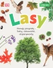 Lasy. Poznaję przyrodę, fakty, ciekawostki, eksperymenty - Ambrose Jamie