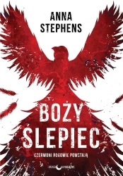 Boży ślepiec - Anna Stephens
