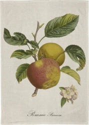 Ręcznik kuchenny - Jabłoń - Skona Ting