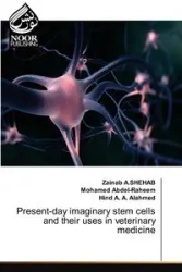Present-day imaginary stem cells and their uses in veterinary medicine - A.SHEHAB Zainab