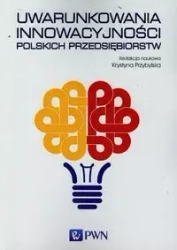 Uwarunkowania innowacyjności polskich.. - praca zbiorowa