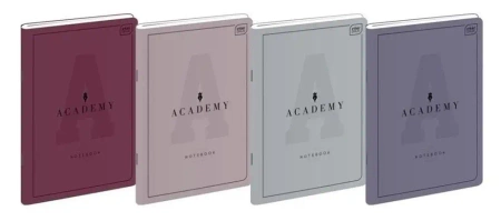 Zeszyt B5/60K kratka Academy (10szt) - INTERDRUK