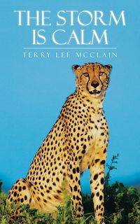 The Storm Is Calm - Terry Lee McClain