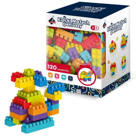Klocki małych geniuszy 120el - Askato