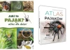 ATLAS PAJĄKÓW + JAKI TO PAJĄK ATLAS DLA DZIECI zestaw 100 gatunków pająków - Jacek Twardowski