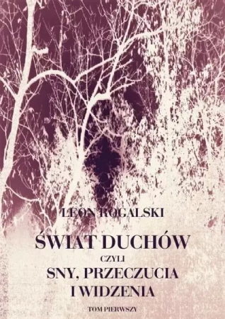 eBook Świat duchów, czyli sny, przeczucia i widzenia. Tom I - Leon Rogalski