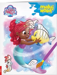 Ariel. Maluj Wodą - praca zbiorowa