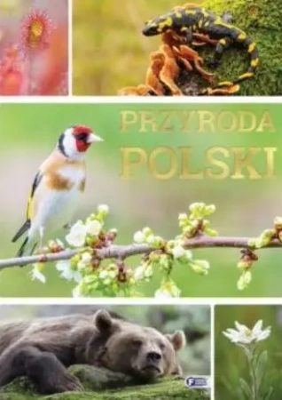 Przyroda Polski. Wydawnictwo Fenix - praca zbiorowa