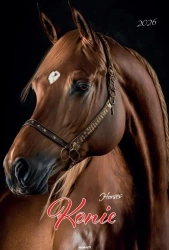 Kalendarz 2026 ścienny A3 Konie - AVANTI