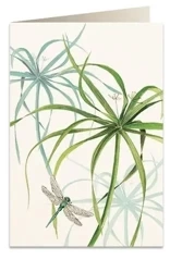 Karnet B6 + koperta 6029 Ważka - Tassotti