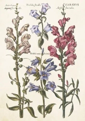 Karnet ST512 B6 + koperta Niebieskie kwiaty - Skona Ting