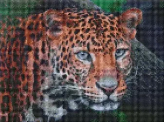 Diamentowa mozaika - Dziki wygląd 30x40cm - Ideyka