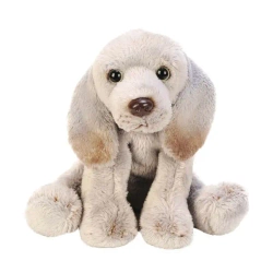 Pies Weimaraner - SUKI plusz