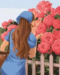 Malowanie po numerach - Pachnące piwonie 40x50cm - Ideyka