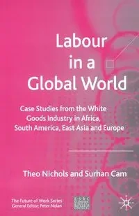 Labour in a Global World - Nichols T.