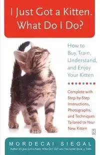 I Just Got a Kitten. What Do I Do? - Siegal Mordecai