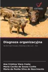 Diagnoza organizacyjna - Ana Cristina Costa Viera