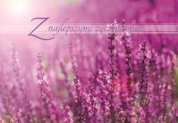 A Kartka składana - Z najlepszymi życzeniami 2 - Szaron