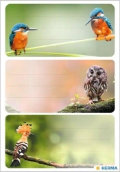 Naklejki szkolne - Ptaki 9szt - Herma