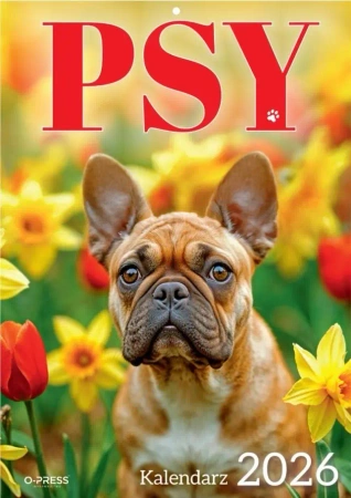 Kalendarz 2026 A4 Wieloplanszowy Psy - O-press