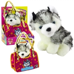 Piesek Husky w torebce pluszowy - Leantoys