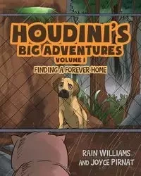 Houdini's Big Adventures - Williams Rain