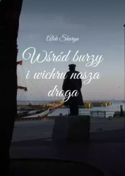 Wśród burzy i wichru nasza droga - Alek Skarga