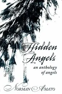 Hidden Angels - Norman Amato