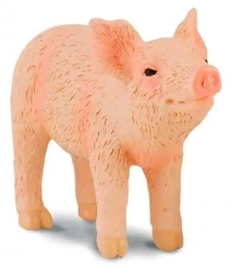 Prosie pachnące - Collecta