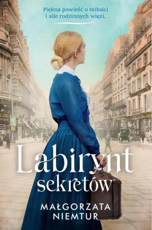eBook Labirynt sekretów - Małgorzata Niemtur epub mobi