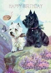 Karnet B6 z kopertą Urodziny 2 Szkockie Teriery - Madame Treacle