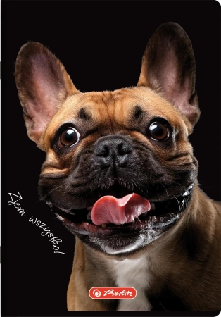 Zeszyt A5/60k linia 70g Crazy Animals Her Fol A 10