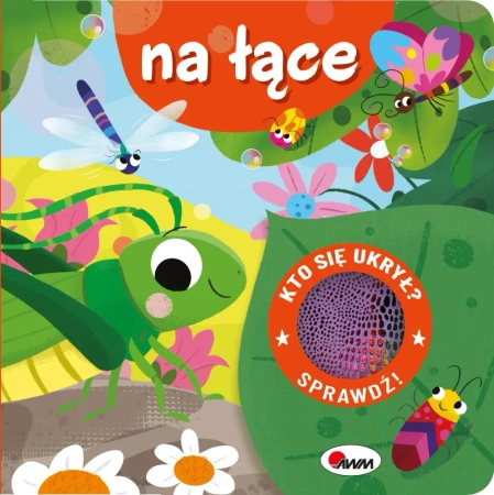 Na łące. Kto się ukrył - Elżbieta Korolkiewicz