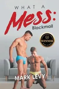 What a Mess - Mark Levy