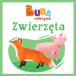 Zwierzęta - praca zbiorowa