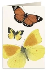 Karnet B6 + koperta 8037 Motyle - Tassotti