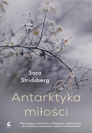 eBook Antarktyka miłości - Sara Stridsberg epub mobi