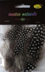 Pióra perliczek 10-15 cm 15szt - Galeria Hobby