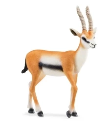 Gazela Thomsona - SCHLEICH