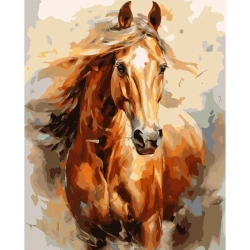 Malowanie po numerach 40x50cm Koń - Koh-I-Noor