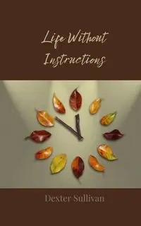 Life Without Instructions - Dexter Sullivan