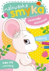 Malowanka smyka. Zwierzaki domowe - Wydawnictwo Skrzat