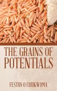 The Grains of Potentials - Chukwuma Festus O
