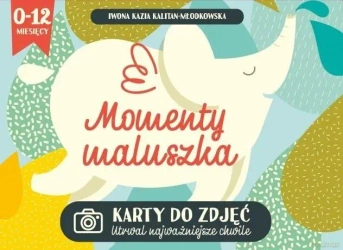 Momenty maluszka. Karty do zdjęć - Iwona Kazia Kalitan Młodkowska