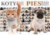 Pakiet: Koty / Pies. Rasy z całego świata - Opracowanie zbiorowe